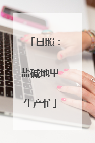 日照：盐碱地里生产忙
