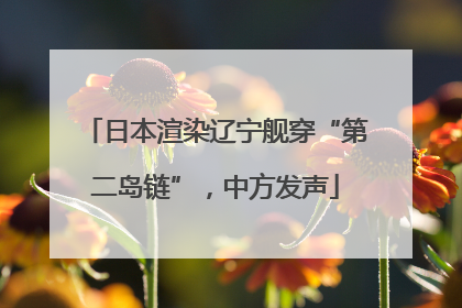 日本渲染辽宁舰穿“第二岛链”，中方发声