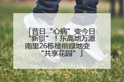 昔日“心病”变今日“新景”！东高地万源南里26栋楼前绿地变“共享花园”