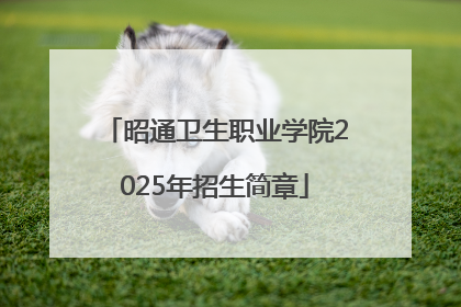 昭通卫生职业学院2025年招生简章