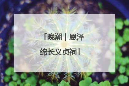 晚潮｜恩泽绵长义贞祠