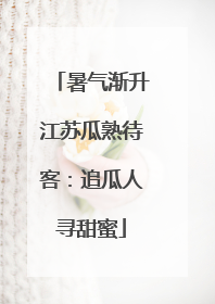 暑气渐升江苏瓜熟待客：追瓜人寻甜蜜