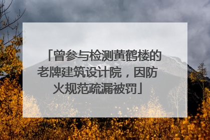 曾参与检测黄鹤楼的老牌建筑设计院，因防火规范疏漏被罚
