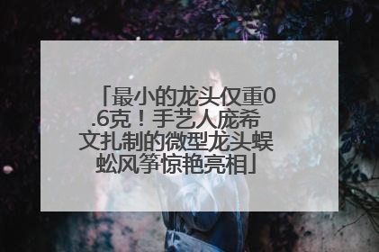 最小的龙头仅重0.6克！手艺人庞希文扎制的微型龙头蜈蚣风筝惊艳亮相