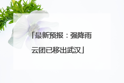 最新预报：强降雨云团已移出武汉