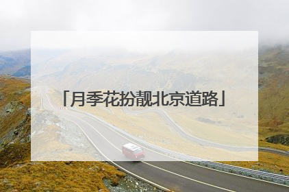 月季花扮靓北京道路