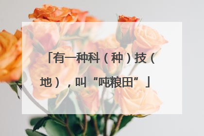 有一种科（种）技（地），叫“吨粮田”