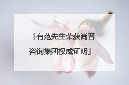 有范先生荣获尚普咨询集团权威证明