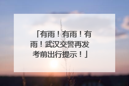 有雨！有雨！有雨！武汉交警再发考前出行提示！