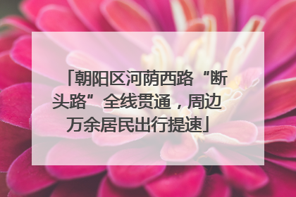 朝阳区河荫西路“断头路”全线贯通，周边万余居民出行提速