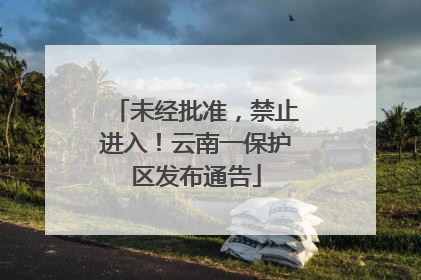 未经批准，禁止进入！云南一保护区发布通告