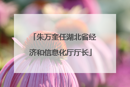 朱万奎任湖北省经济和信息化厅厅长
