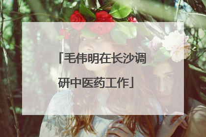 毛伟明在长沙调研中医药工作