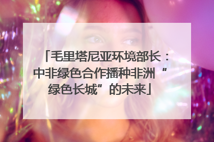 毛里塔尼亚环境部长：中非绿色合作播种非洲“绿色长城”的未来
