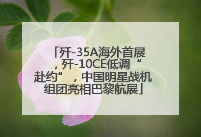 歼-35A海外首展，歼-10CE低调“赴约”，中国明星战机组团亮相巴黎航展