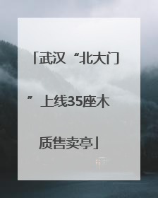 武汉“北大门”上线35座木质售卖亭