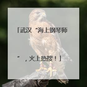 武汉“海上钢琴师”，火上热搜！