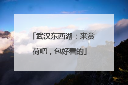 武汉东西湖：来赏荷吧，包好看的