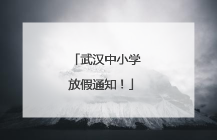 武汉中小学放假通知！