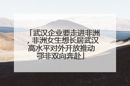 武汉企业要走进非洲，非洲女生想长居武汉 高水平对外开放推动鄂非双向奔赴