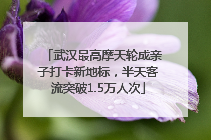 武汉最高摩天轮成亲子打卡新地标，半天客流突破1.5万人次