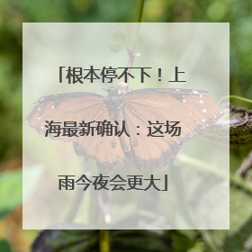 根本停不下！上海最新确认：这场雨今夜会更大