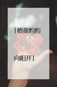 格桑灼灼向阳开