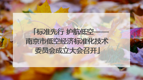 标准先行 护航低空——南京市低空经济标准化技术委员会成立大会召开