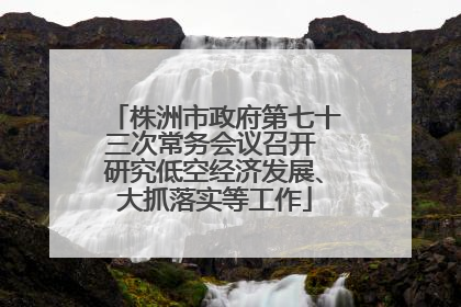 株洲市政府第七十三次常务会议召开 研究低空经济发展、大抓落实等工作