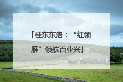 桂东东洛：“红领雁”领航百业兴