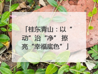 桂东青山：以“动”治“净” 擦亮“幸福底色”