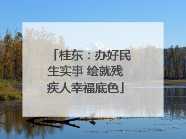 桂东：办好民生实事 绘就残疾人幸福底色