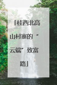 桂西北高山村寨的“云端”致富路