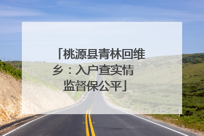 桃源县青林回维乡：入户查实情 监督保公平