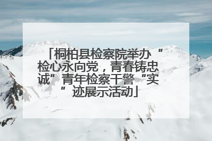 桐柏县检察院举办“检心永向党，青春铸忠诚”青年检察干警“实”迹展示活动
