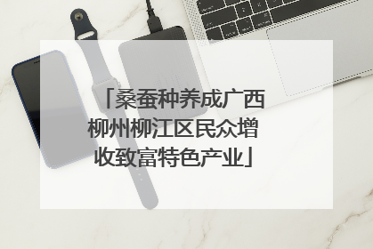 桑蚕种养成广西柳州柳江区民众增收致富特色产业