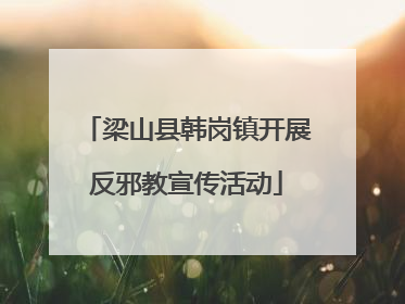 梁山县韩岗镇开展反邪教宣传活动