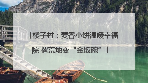 楼子村：麦香小饼温暖幸福院 撂荒地变“金饭碗”