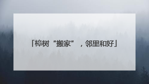 樟树“搬家”，邻里和好