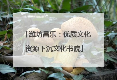 潍坊昌乐：优质文化资源下沉文化书院