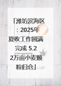 潍坊滨海区：2025年夏收工作圆满完成 5.22万亩小麦颗粒归仓
