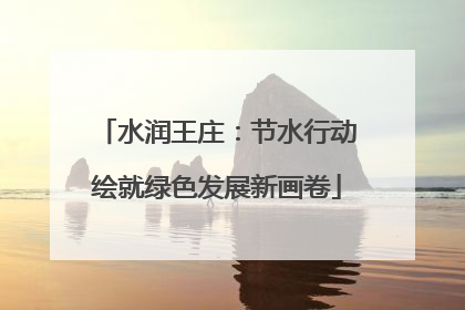 水润王庄：节水行动绘就绿色发展新画卷
