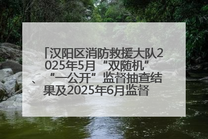汉阳区消防救援大队2025年5月“双随机”、“一公开”监督抽查结果及2025年6月监督抽查任务公示
