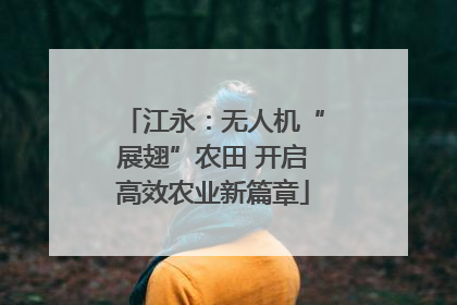 江永：无人机“展翅”农田 开启高效农业新篇章