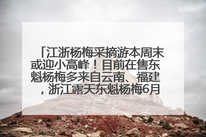 江浙杨梅采摘游本周末或迎小高峰！目前在售东魁杨梅多来自云南、福建，浙江露天东魁杨梅6月中旬大量上市