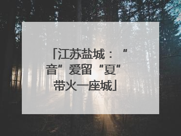 江苏盐城：“音”爱留“夏” 带火一座城