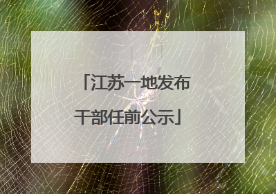 江苏一地发布干部任前公示