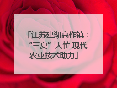 江苏建湖高作镇：“三夏”大忙 现代农业技术助力