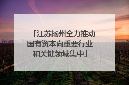 江苏扬州全力推动国有资本向重要行业和关键领域集中