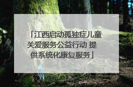 江西启动孤独症儿童关爱服务公益行动 提供系统化康复服务